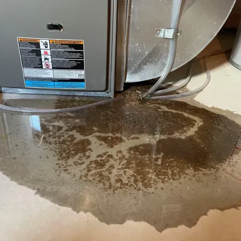 Appliance Leak Cleanup in Balcones Heights, TX